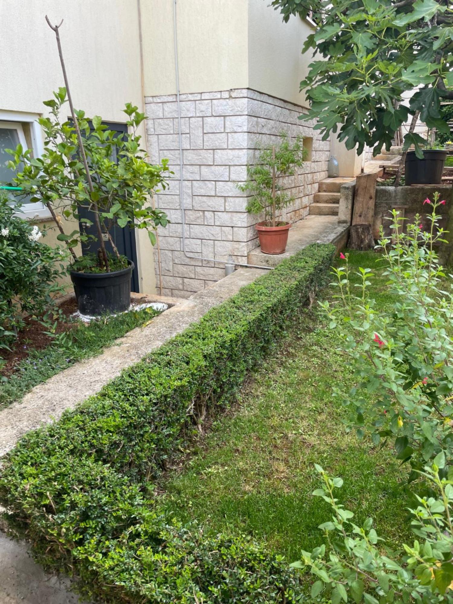 Apartmani Darko Ровинь Экстерьер фото