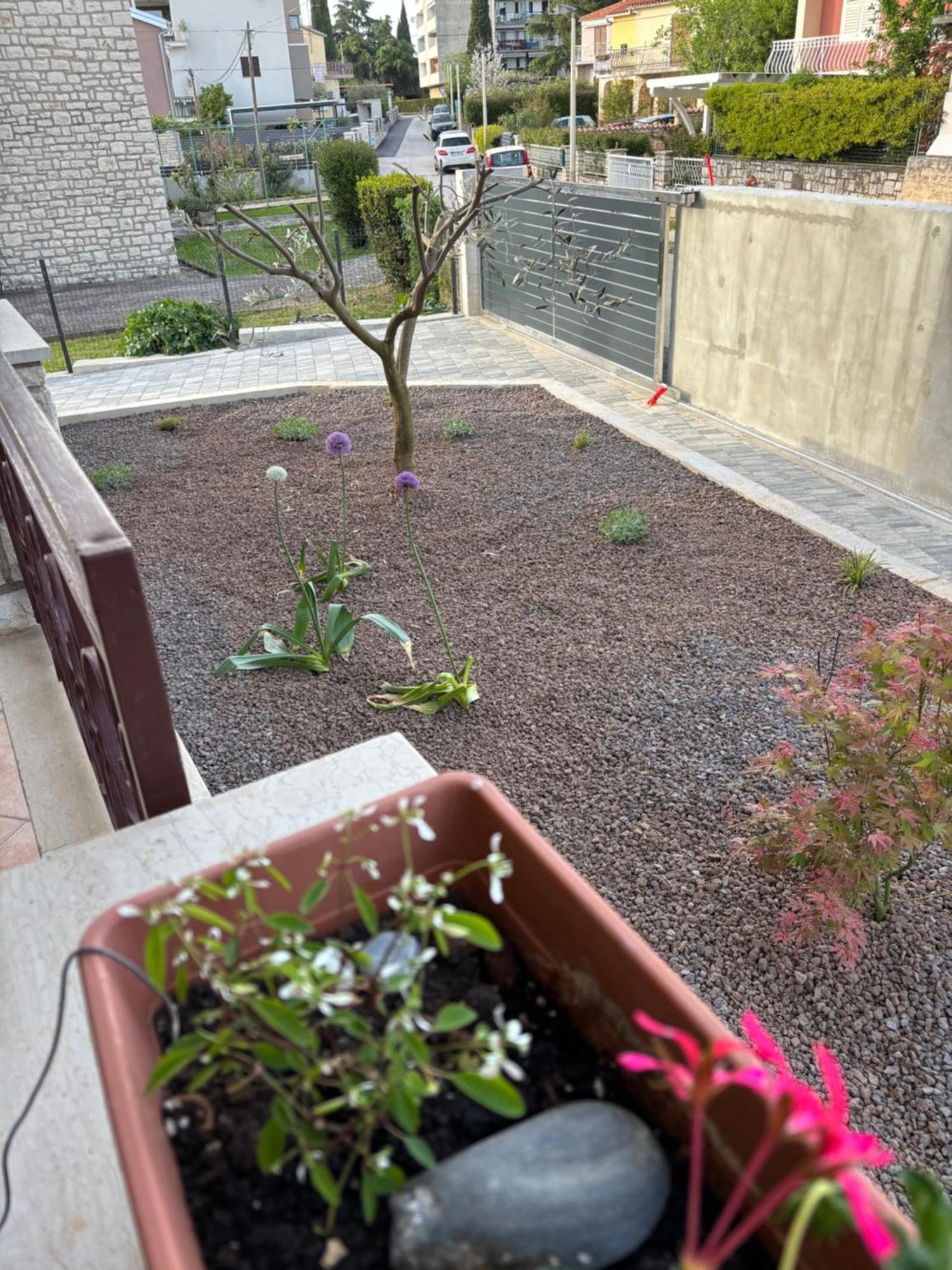 Apartmani Darko Ровинь Экстерьер фото